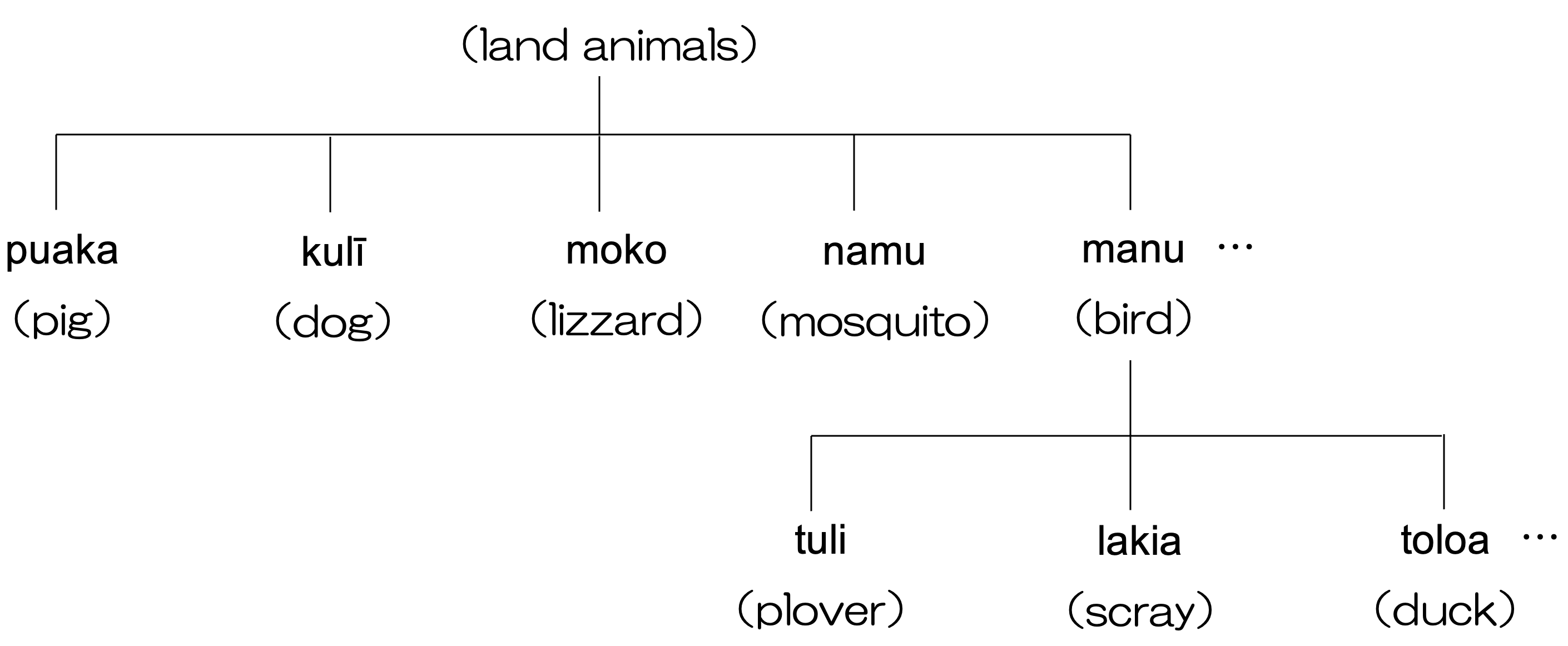 Folk Classification of the Animals